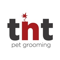 TNT pet grooming, llc 