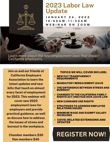 Recent Changes to Employment Laws And Their Impact on Employers 