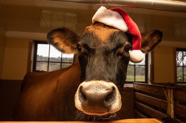 Billings Farm Celebrate Christmas @ the Farm in December