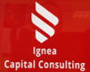 Ignea Capital Consult