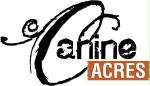 Canine Acres