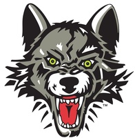 Chicago Wolves