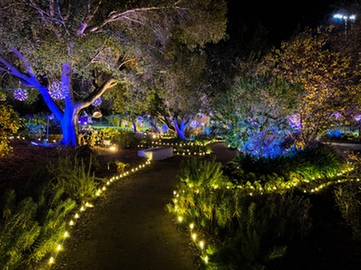 Nature Nights at SLO Botanical Garden Dec 28, 2024 Morro Bay