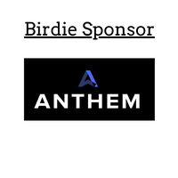 Anthem Strategists PC