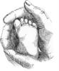 Prairie Path Foot and Ankle Clinic