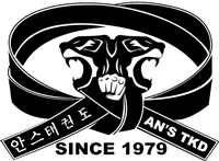 Tiger An's TaeKwonDo Peabody