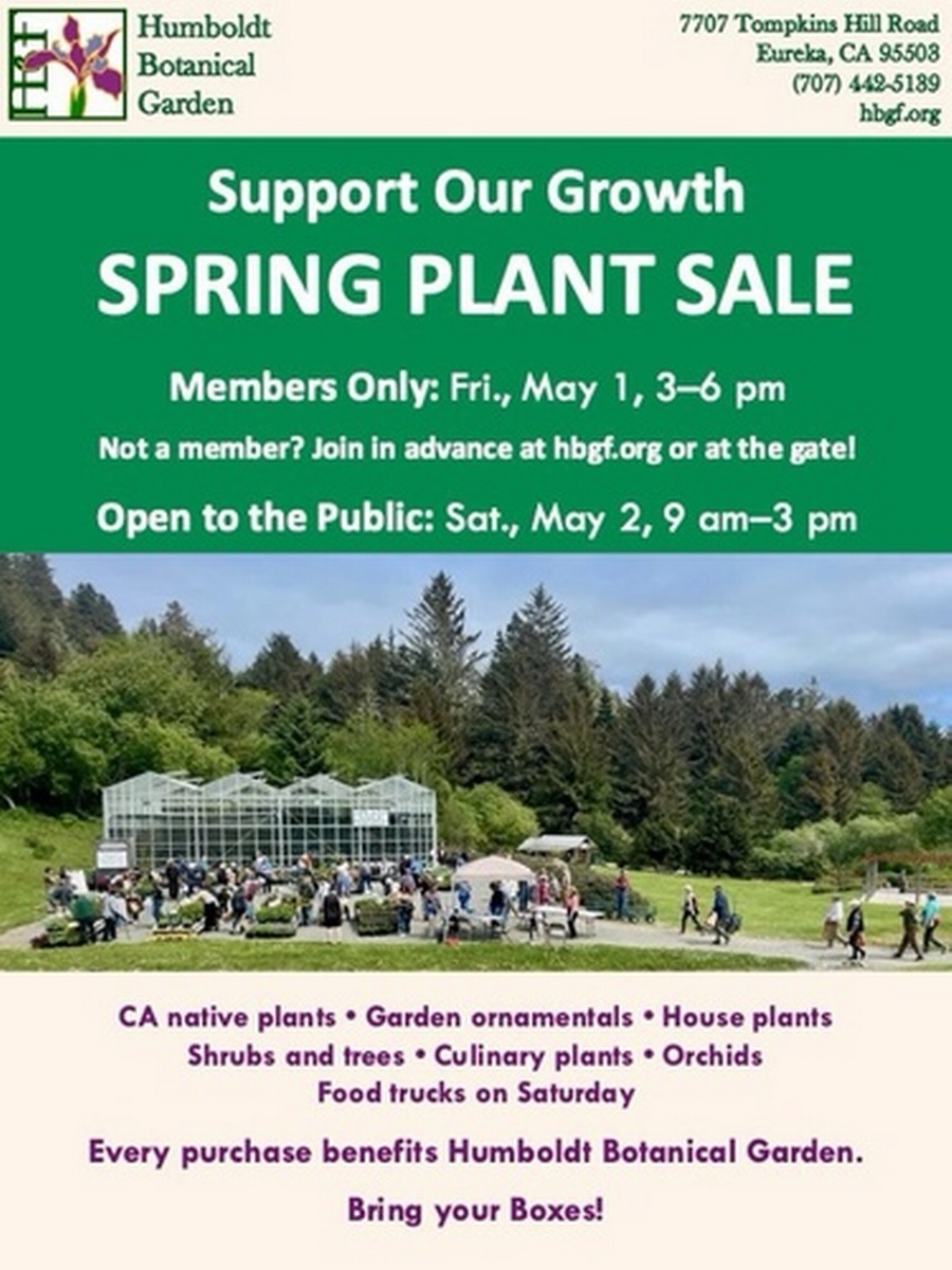Spring Plant Sale at Humboldt Botanical Garden in Fortuna, California with vibrant plants and community atmosphere.