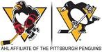Wilkes-Barre/Scranton Penguins