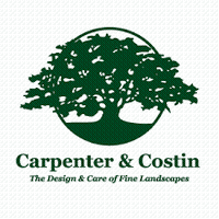 Carpenter & Costin
