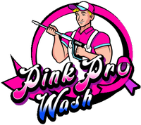 Pink Pro Wash