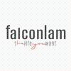 Falcon Lam Financial