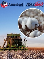 NexGen Cottonseed
