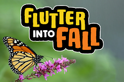 Flutter into Fall at Peggy Notebaert Nature Museum