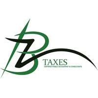 BZ TAXES PLLC
