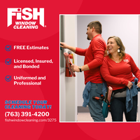 Fish Window Cleaning