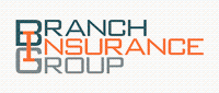 Branch Insurance Group