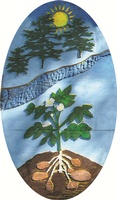 Plover River Farms Alliance Inc