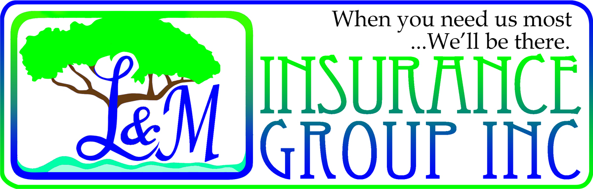 L&M Insurance Group Inc.