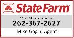 Mike Gogin Insurance, State Farm