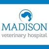 Madison Veterinary Hospital