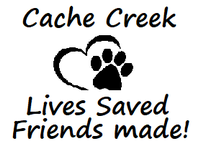 Cache Creek Rescue