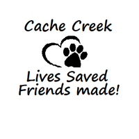 Cache Creek Animal Rescue