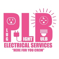 Plug Light Bulb Electrical Services