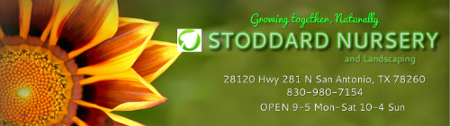 TODO