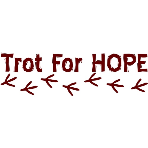 TODO
