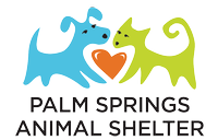 Palm Springs Animal Shelter