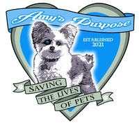 Amy's Purpose