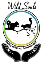Wild Souls Wildlife Rescue Rehabilitation