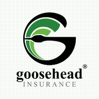 L & G Goosehead Insurance