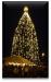 Keizer's Holiday Tree Lighting
