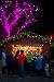 Christmas in the Garden