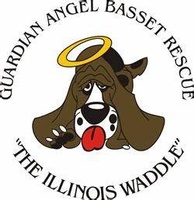 Guardian Angel Basset Rescue (GABR)