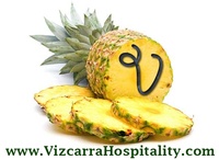 Vizcarra Hospitality, LLC
