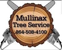 Mullinax Services, LLC