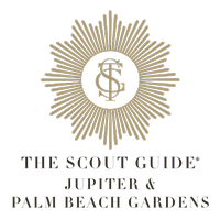 THE SCOUT GUIDE