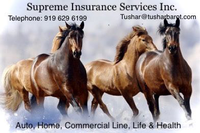 Supreme Ins Services Inc 