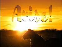 Arise!