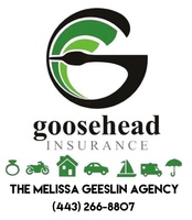 Goosehead Insurance