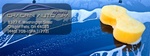 Chagrin Auto Spa