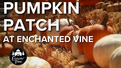 TODO