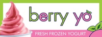 Berry Yo Frozen Yogurt