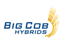 Big Cob Hybrids