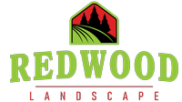 Redwood Landscape 