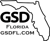 GSD Florida LLC