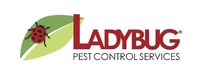 Ladybug Pest Control Services