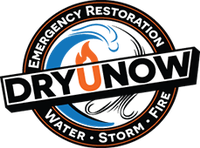 DRY U NOW, Shannon Niebes
